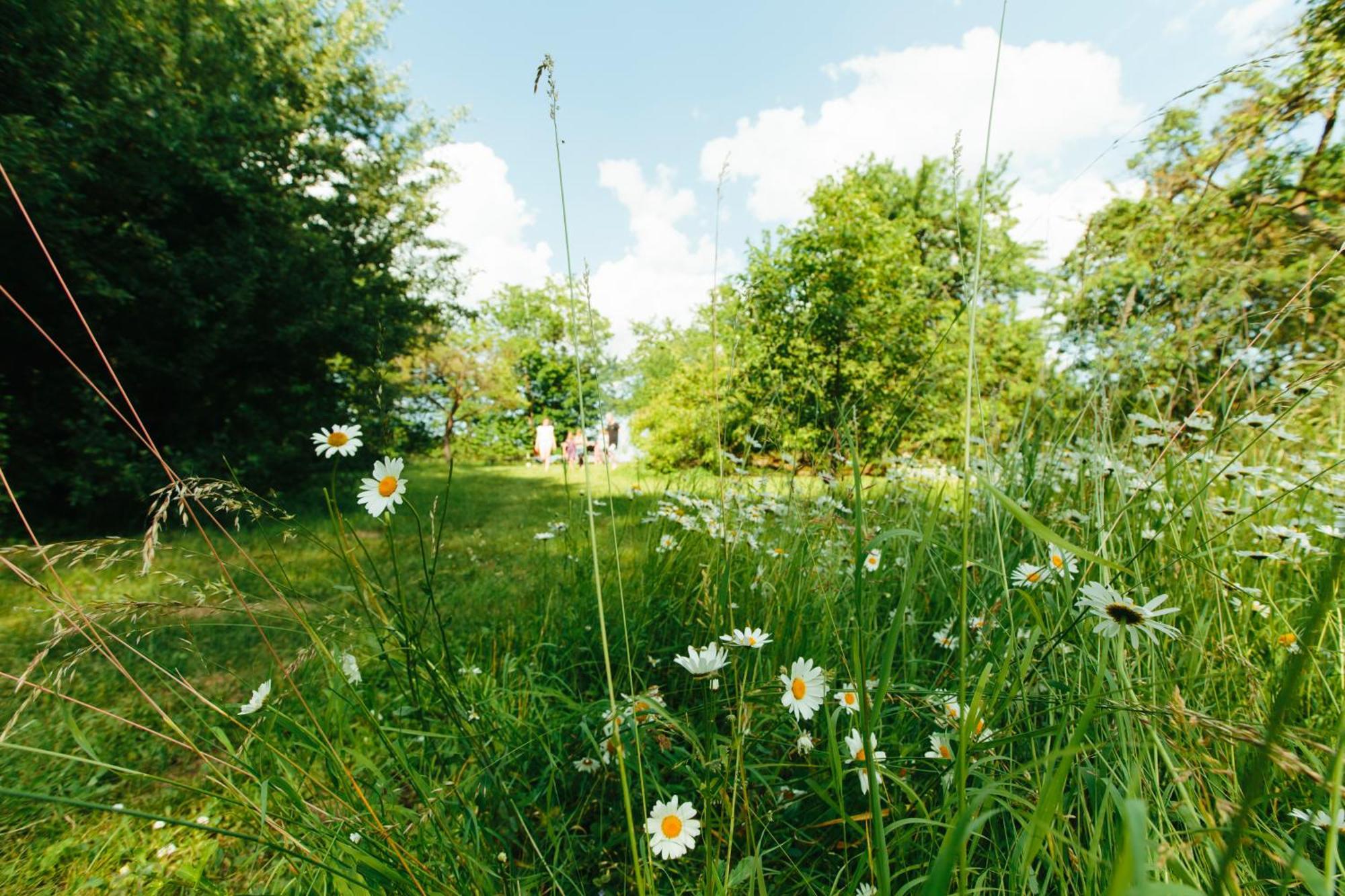 Feriendomizil Alter Garten Temmen-Ringenwalde ภายนอก รูปภาพ