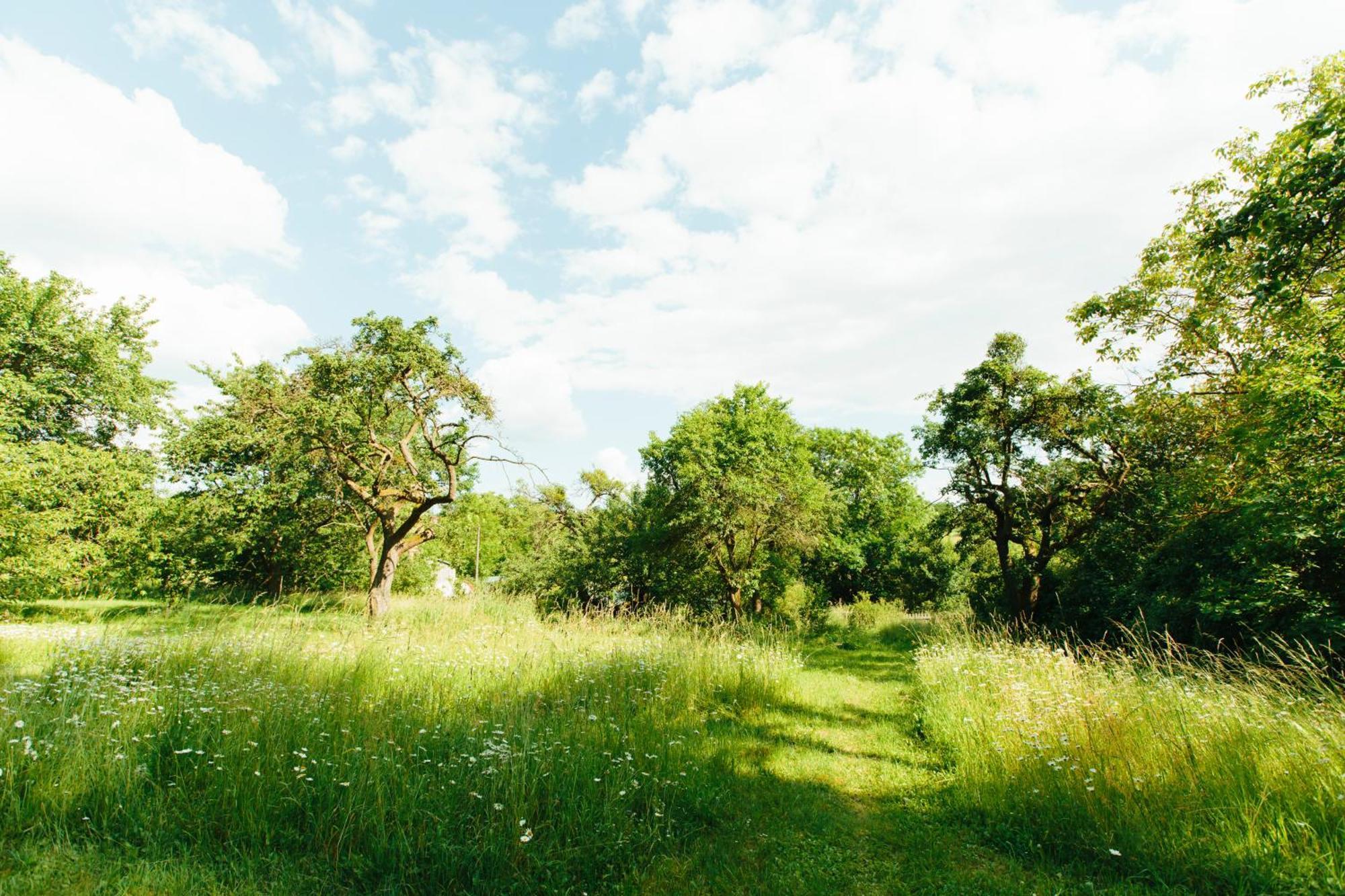 Feriendomizil Alter Garten Temmen-Ringenwalde ภายนอก รูปภาพ