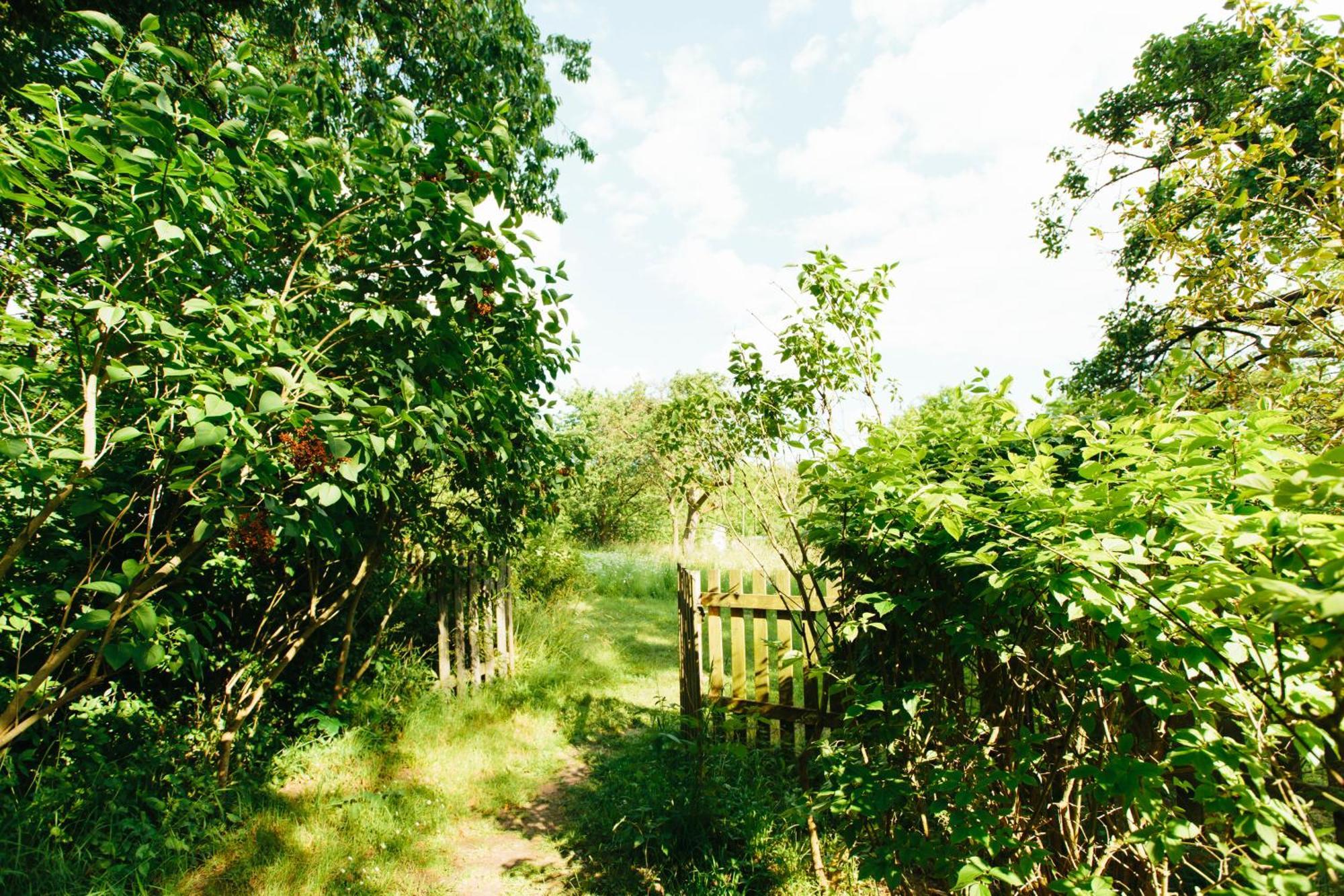 Feriendomizil Alter Garten Temmen-Ringenwalde ภายนอก รูปภาพ