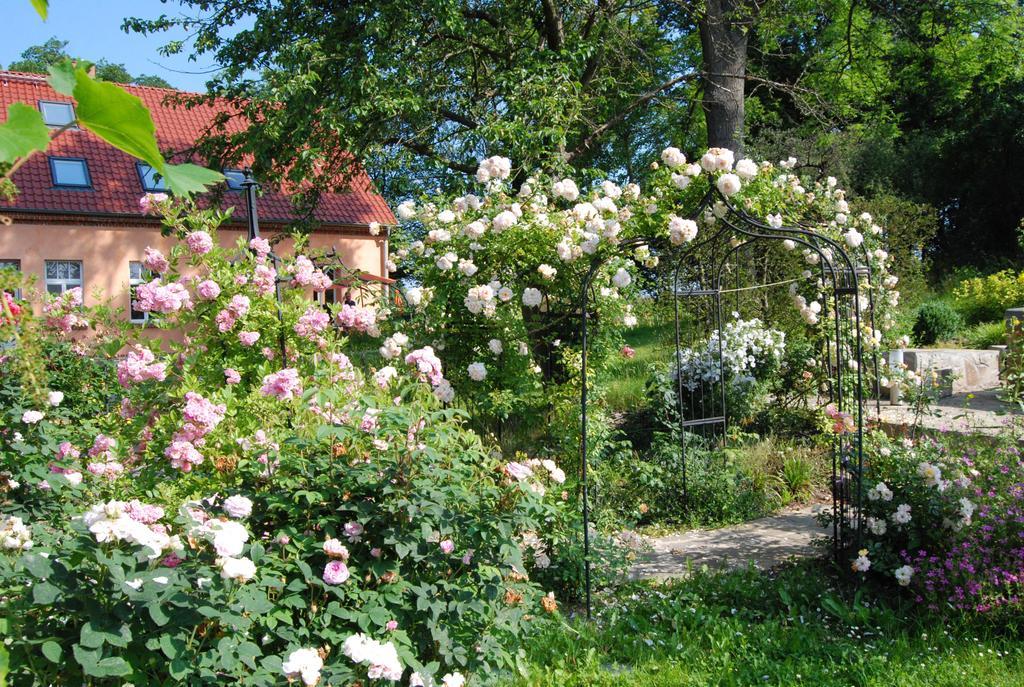 Feriendomizil Alter Garten Temmen-Ringenwalde ภายนอก รูปภาพ