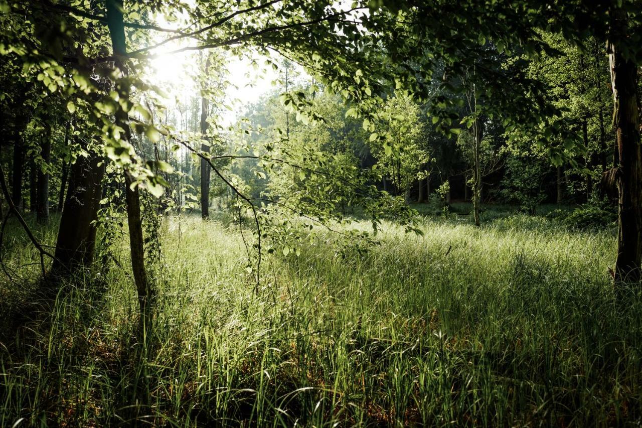 Feriendomizil Alter Garten Temmen-Ringenwalde ภายนอก รูปภาพ