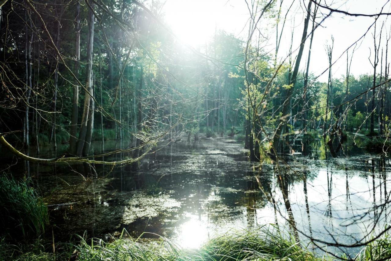 Feriendomizil Alter Garten Temmen-Ringenwalde ภายนอก รูปภาพ